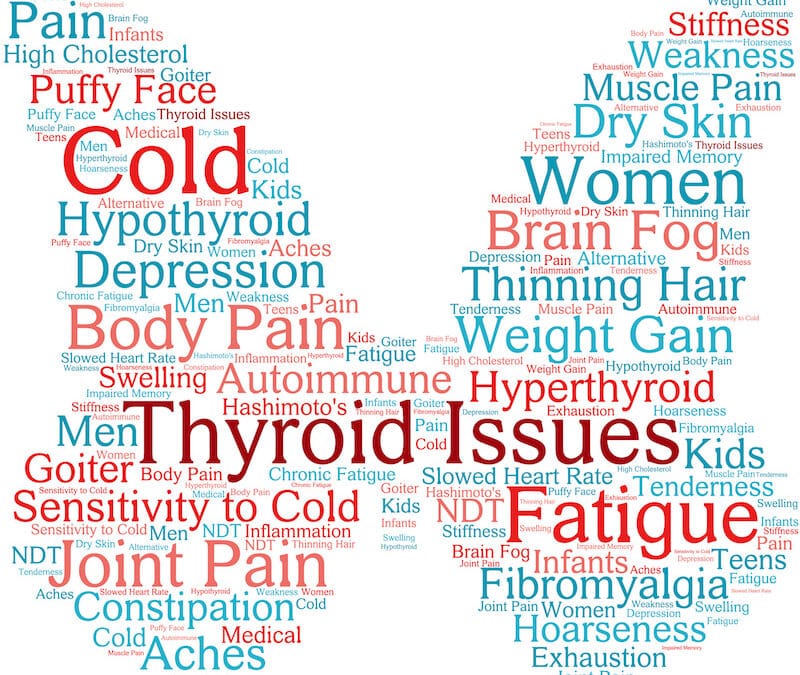 Optimize Your Thyroid Function