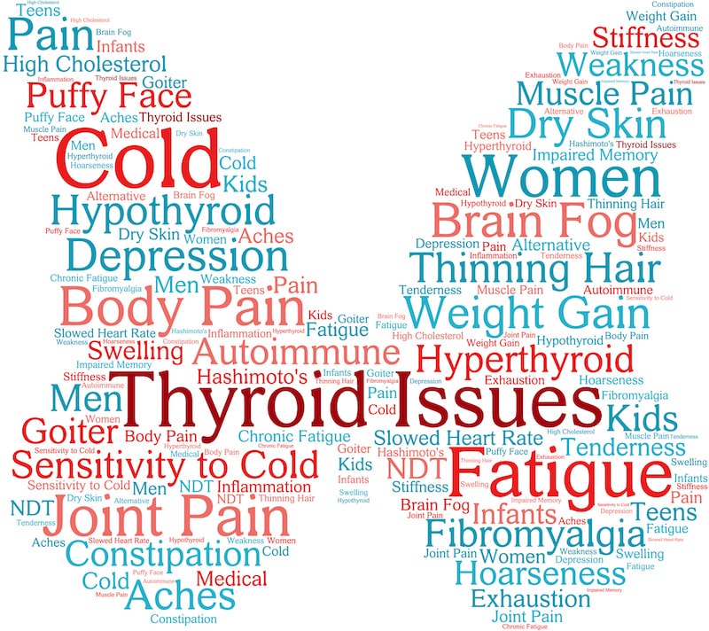 Optimize your thyroid function
